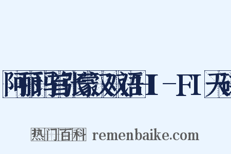 阿丽玛首张蒙汉双语HI-FI天碟是什么意思的图片